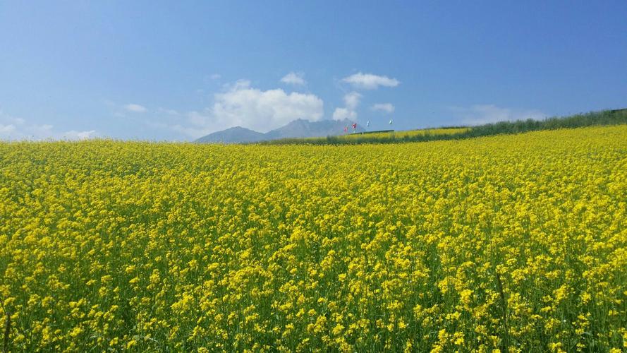 青海省有哪些旅游景点