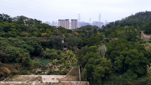 坪山有哪些景点