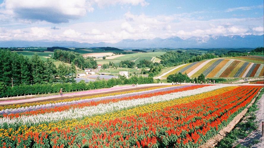 日本北海道有哪些景点