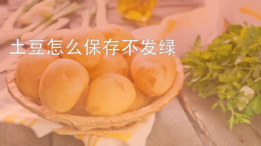 土豆怎么保存不发绿不长牙