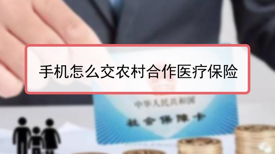 农村合作医疗网上缴费怎么交