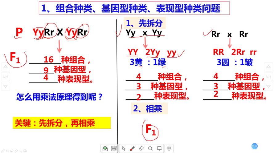 组合怎么运算