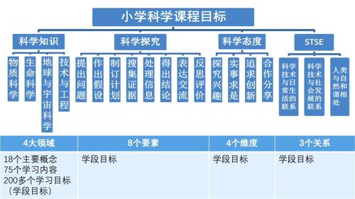 教学设计包括哪些内容