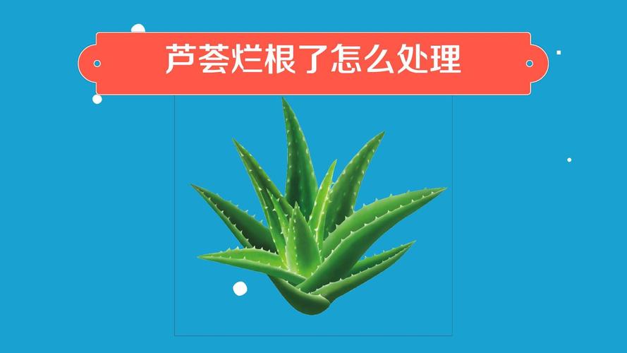 芦荟怎么修剪