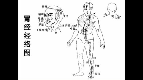 耳唇兰怎么浇水