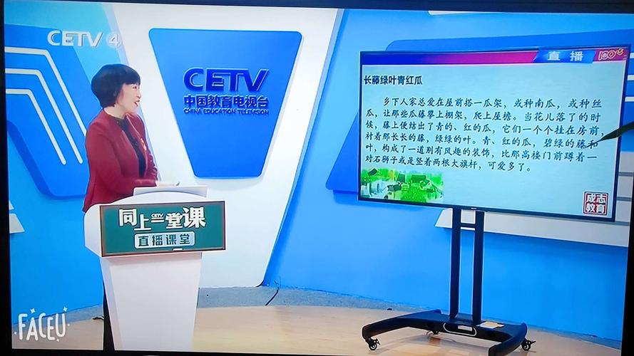 CETV4是什么台