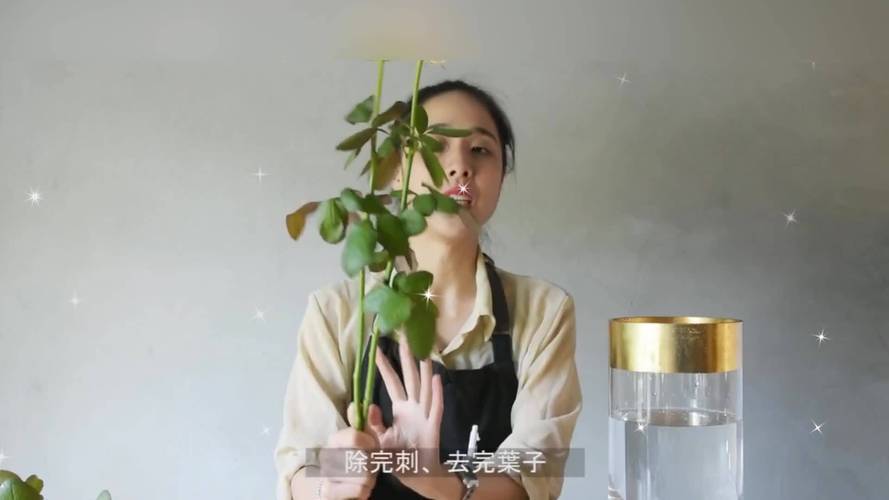 玫瑰花如何延长保鲜，如何让玫瑰花保鲜