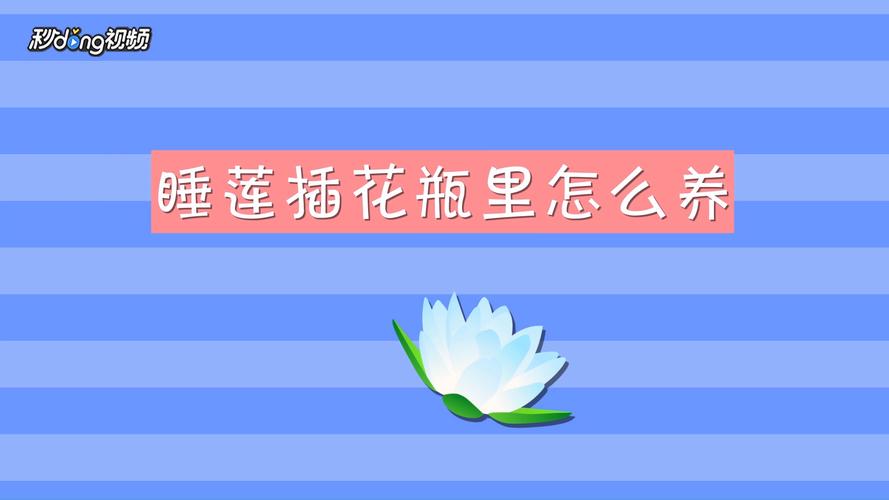 睡莲插花瓶里怎么养，为什么晚上会合拢