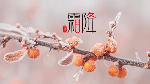 霜降节气的特点是什么