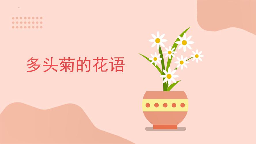 多头菊什么时候开花（花期介绍）