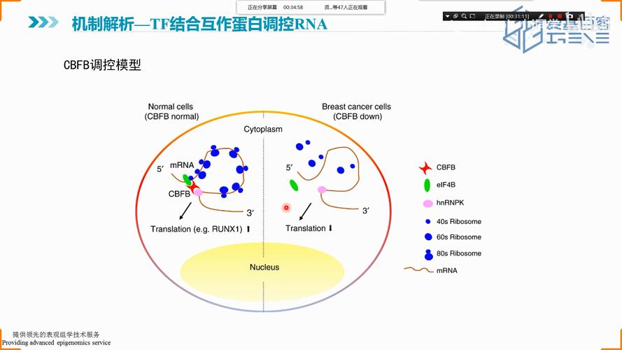 什么是转录组测序