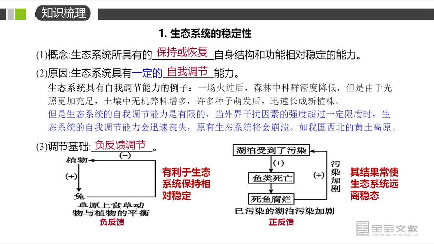 生态系统稳定性取决于哪些因素