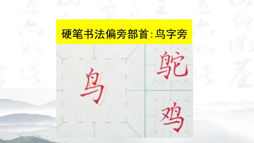 鸟字旁的字