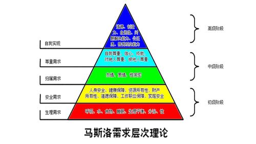 社会自我包括哪些内容