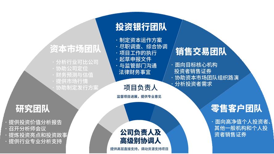 项目概况包括哪些内容