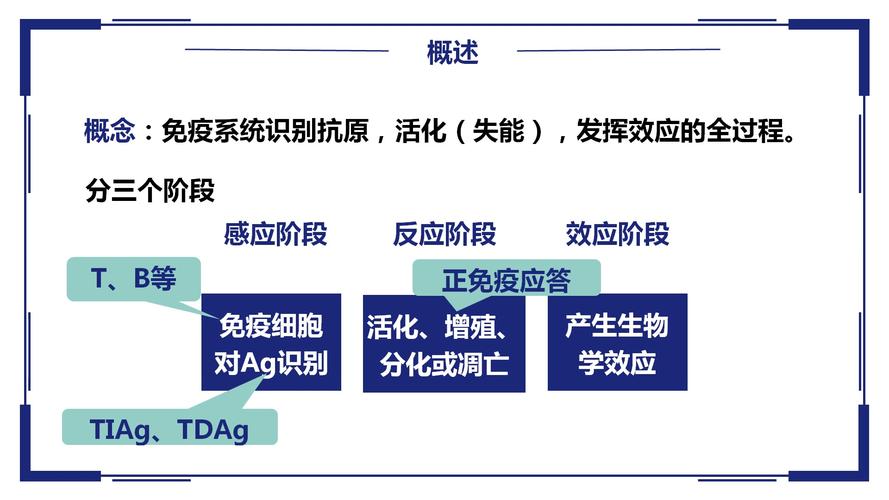 固有免疫应答名词解释