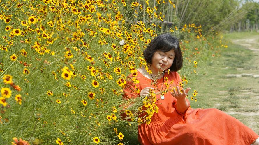 三十条最美“花”路，走一辈子都不够