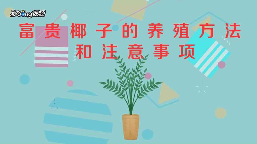 富贵椰子的风水及摆放