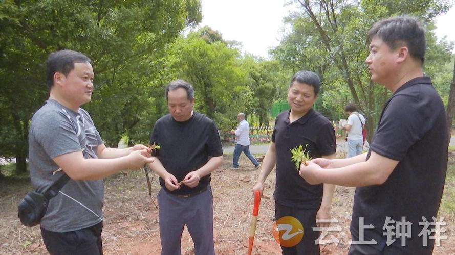 铲除和根除的区别