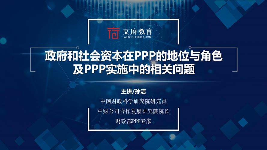 ppp项目是什么意思？