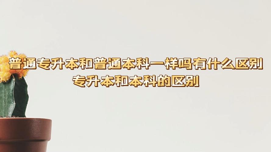 三表本科和专科有什么区别