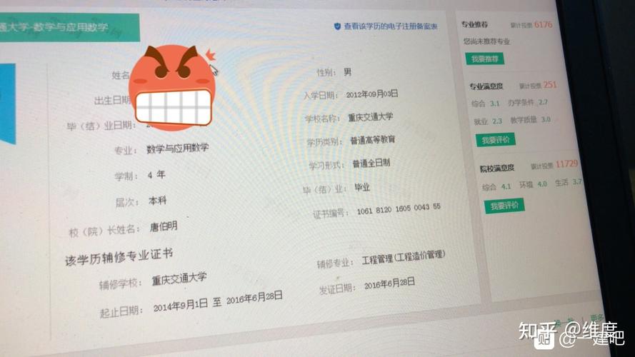 学信网报告编号怎么查