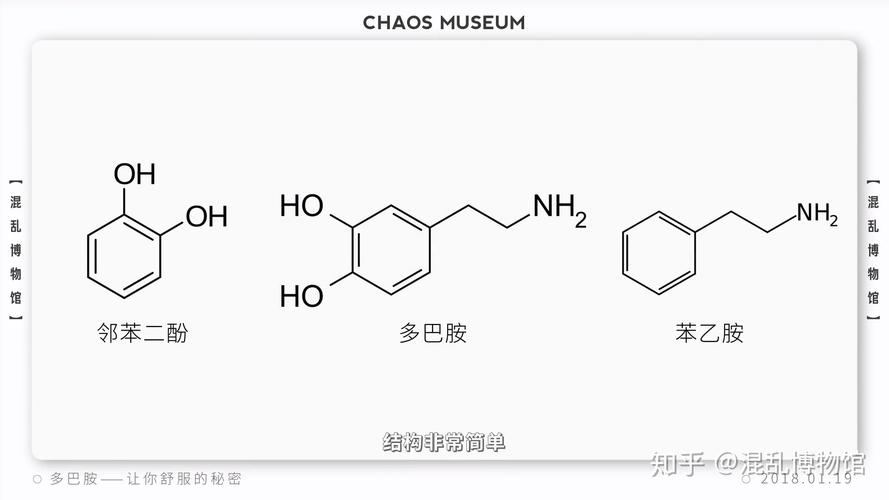 什么是结构式