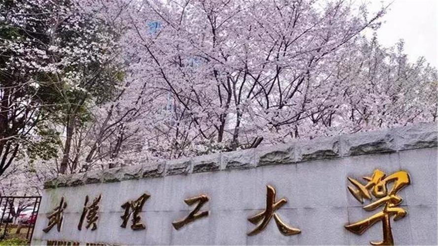 湖北211大学名单是什么