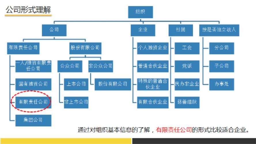 公司股权如何分配