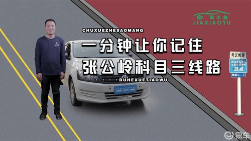 驾照科目3考什么