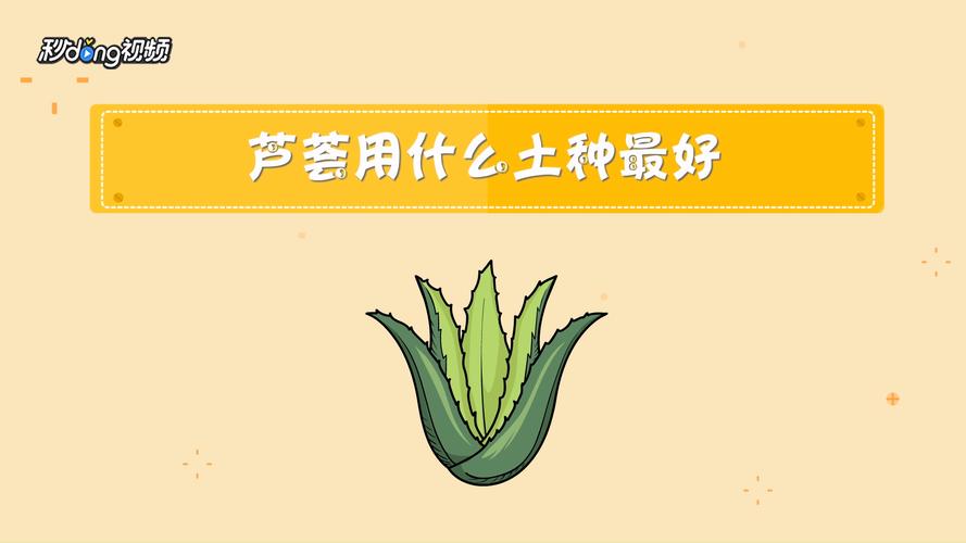 芦荟怎么种