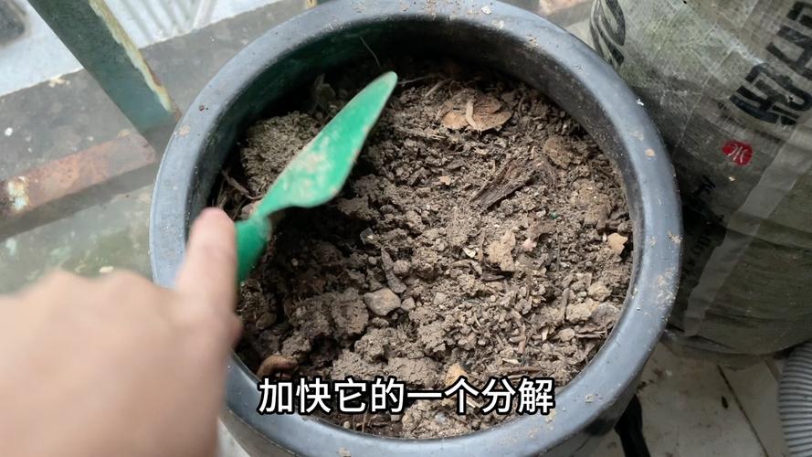 家庭养花土壤消毒的方法