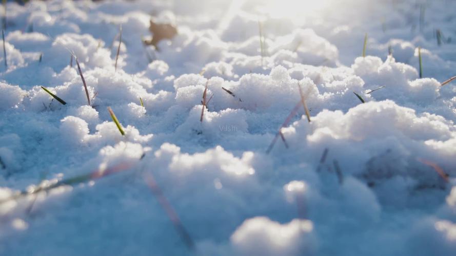 雪白雪白的什么填词语