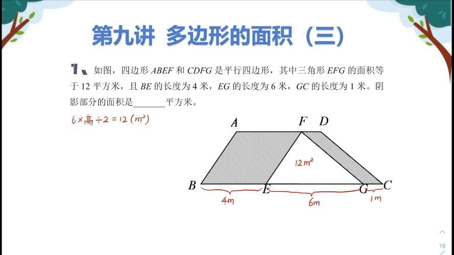 面积的定义是什么意思