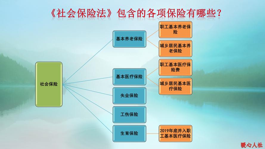 保险费计算公式