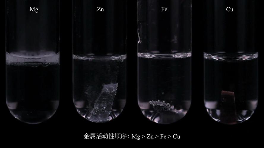 金属和酸反应生成什么