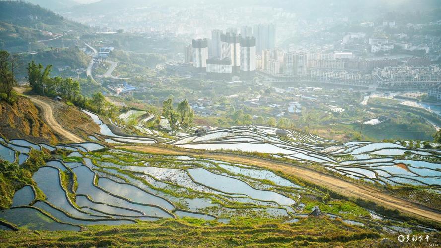 三角梅养殖的环境要求，养在背太阳的地方会开花吗