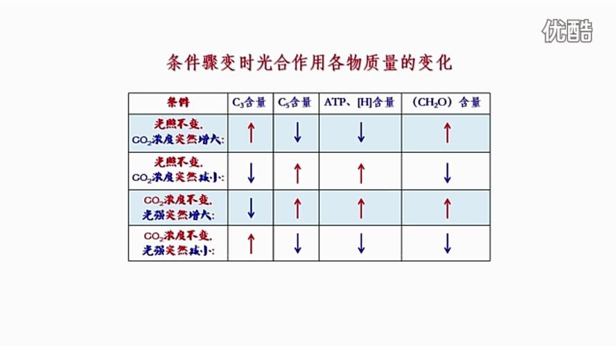 净光合速率是什么意思