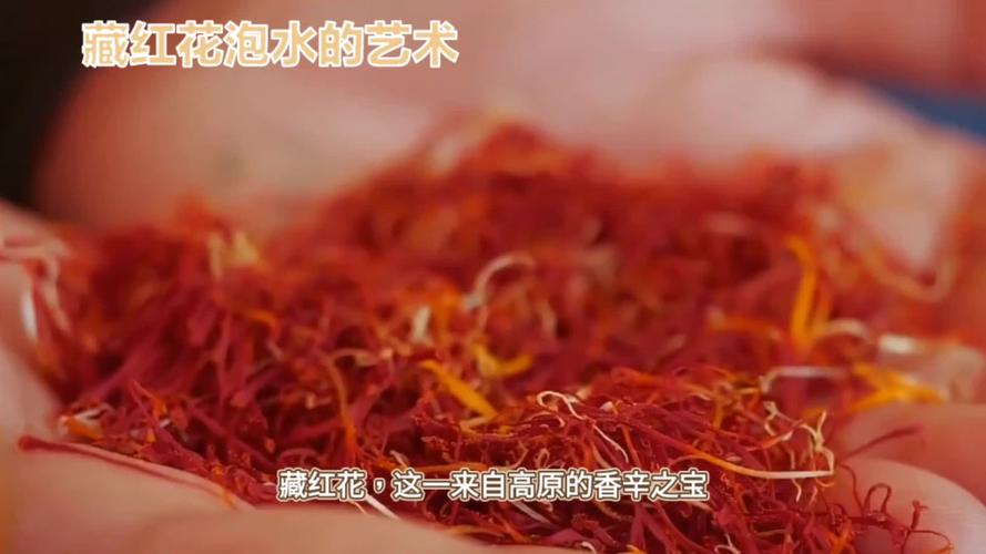 藏红花泡水一次泡几根