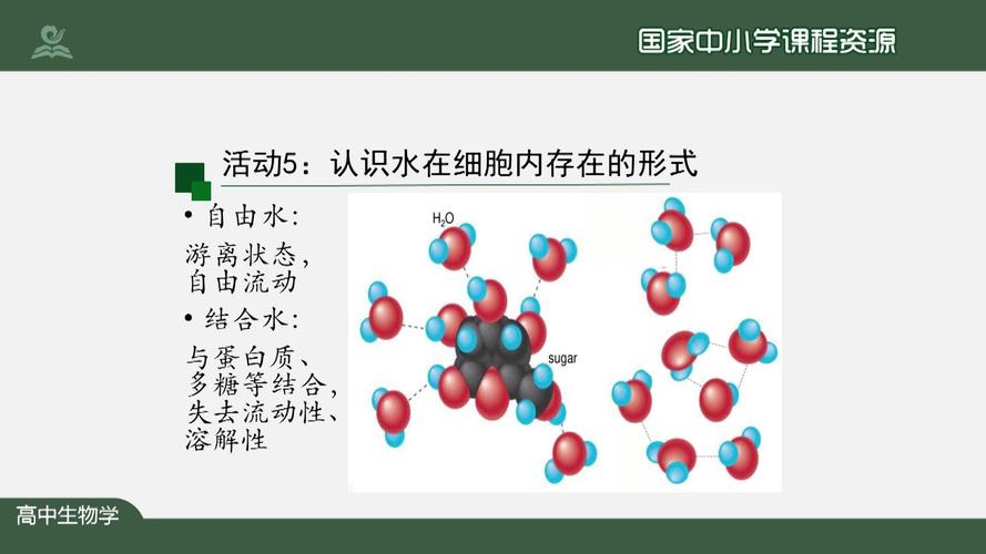 无机物和有机物的区别