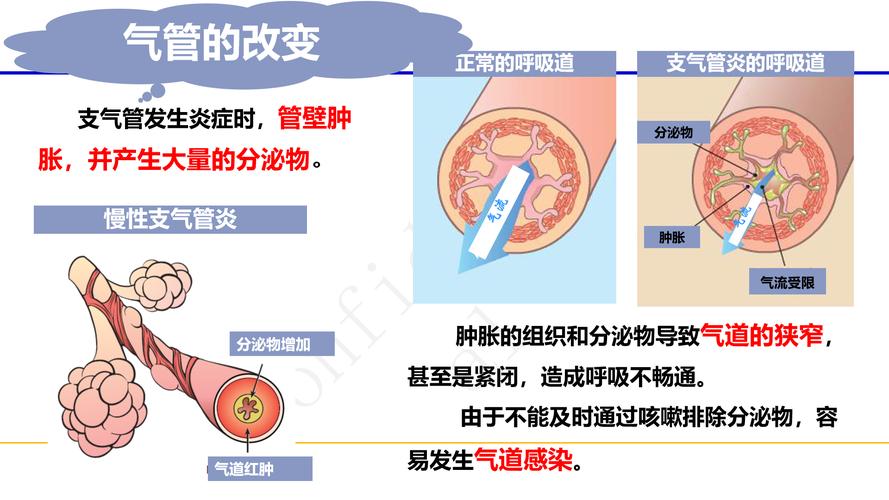 可逆反应与不可逆反应有哪些区别