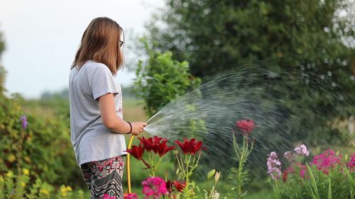 夏季给花浇水的5个要点