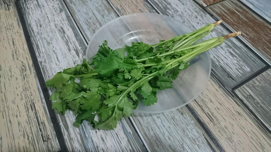 香菜煮水的功效与作用，香菜水的功效与作用