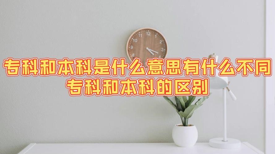 本科是什么意思大专是什么意