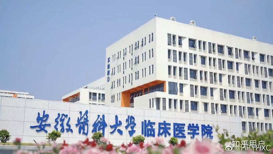 天津医科大学临床医学院是几本