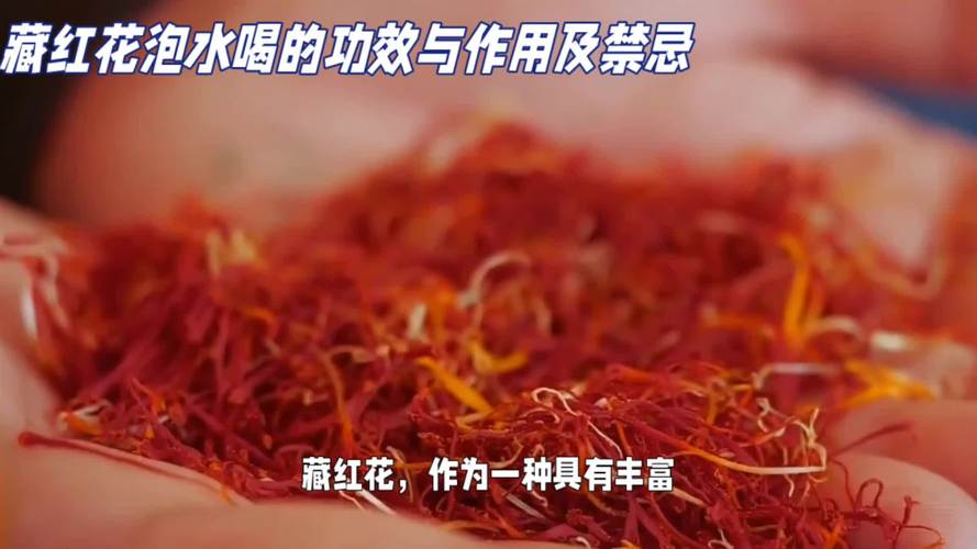 丁香花的作用和功效，有什么禁忌