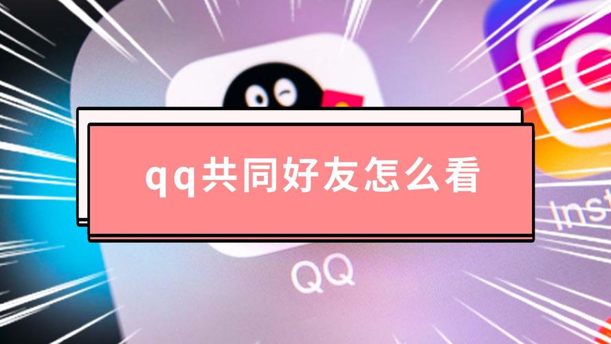 qq怎么查看共同好友