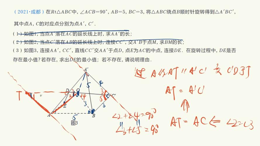 中线和中位线的区别