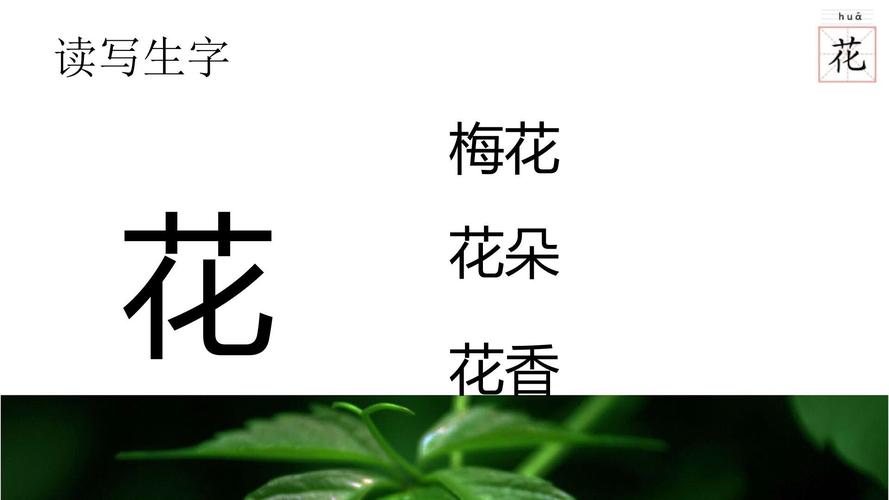 描写花的四字词有哪些