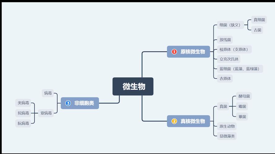 生物学中系统的概念是什么